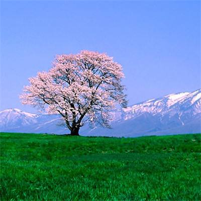 一剑永恒赚钱版下载
